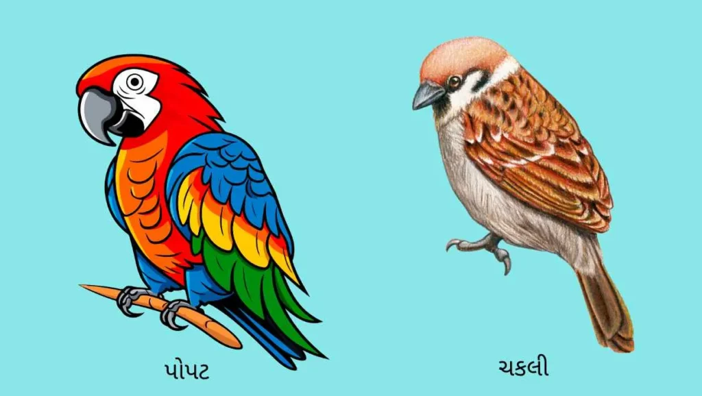 name of birds in gujarati