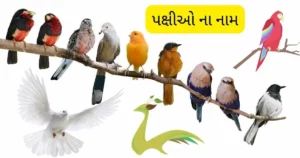 Birds Name in Gujarati