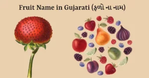 Fruit Name in Gujarati