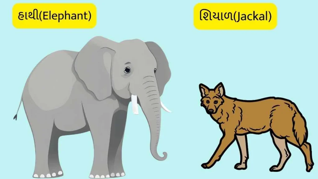 animal name in gujarati